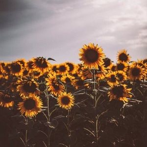 Meet your Posher, Gabriela